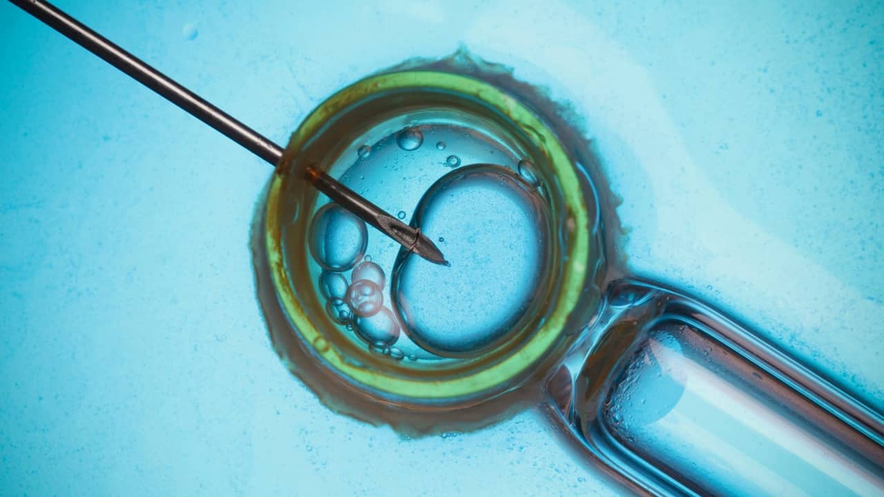 Espagne : un havre sûr pour les femmes en quête de maternité
