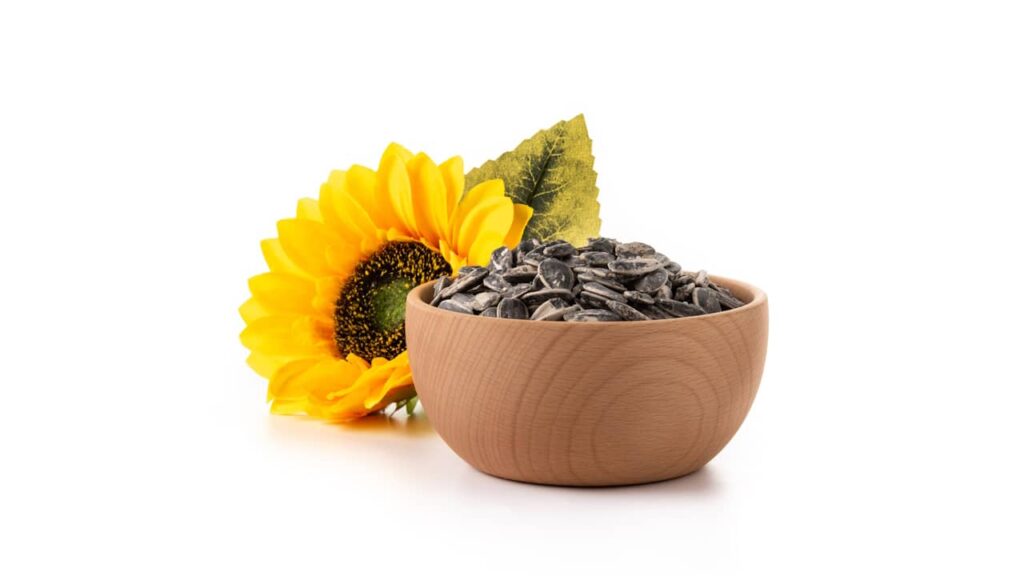 graines de tournesol fleur