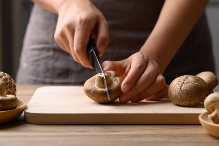 Shiitake et santé : entre tradition médicinale et données scientifiques