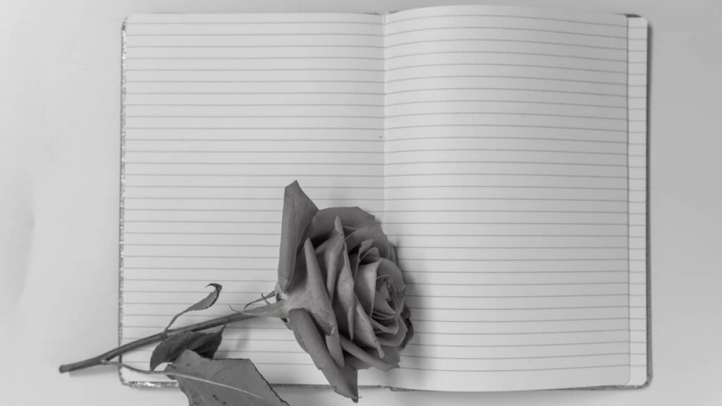 rose noir et blanc cahier vide