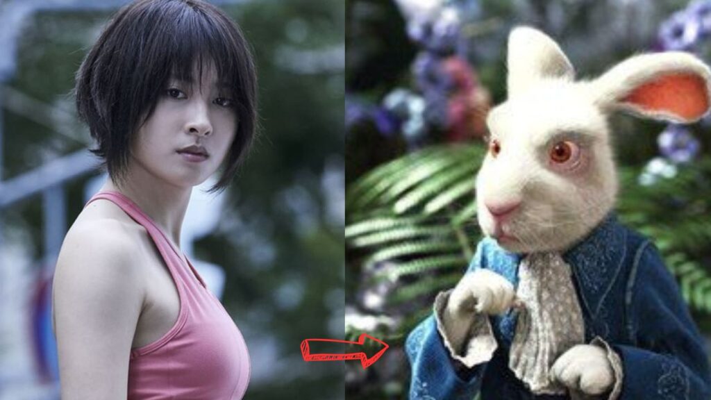 usagi rabbit