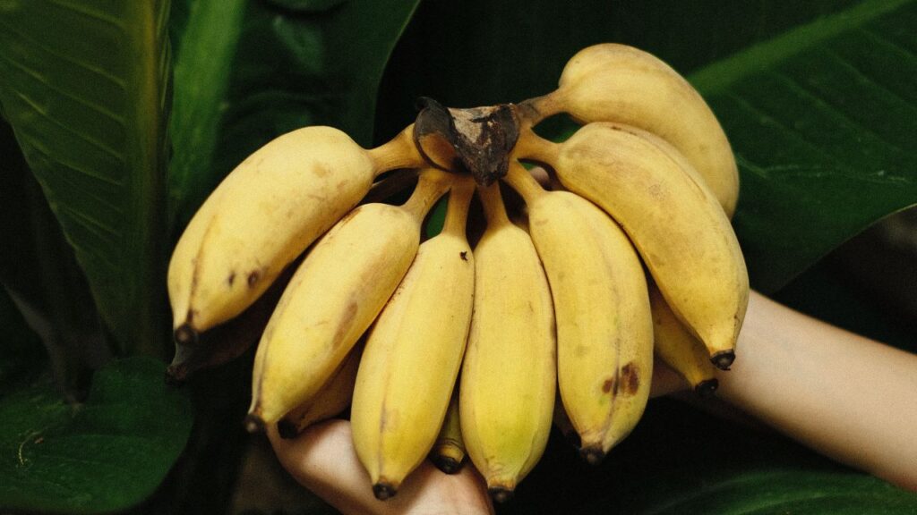 banane