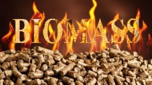biomasse