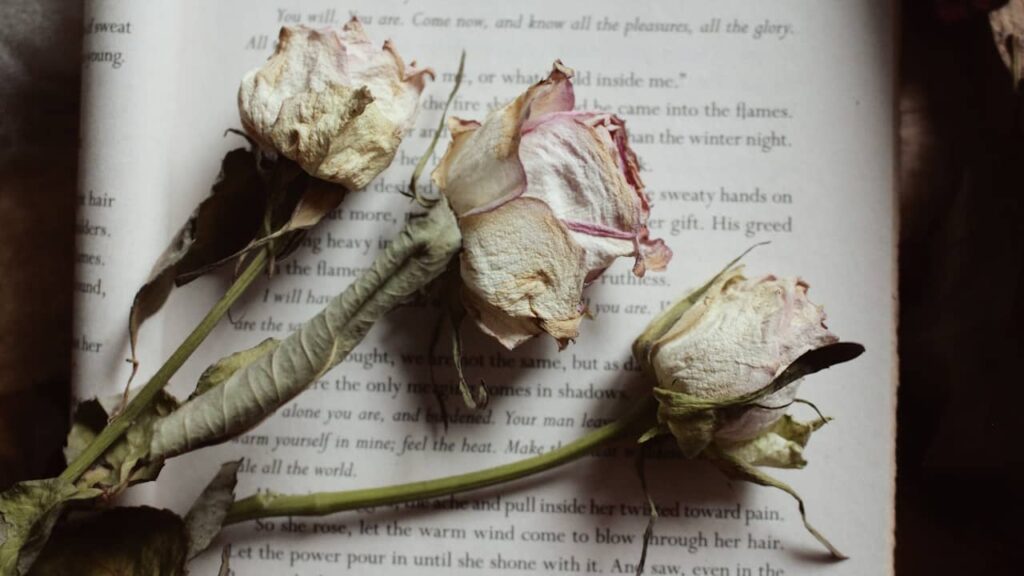 fleurs séchées livre ancien