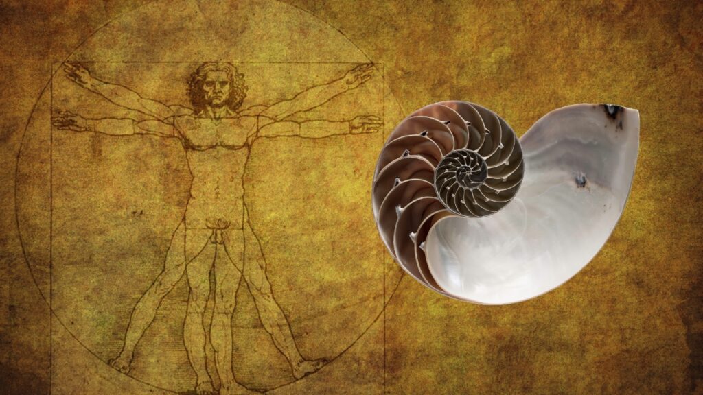 Le nombre d’or : la nature cultive-t-elle l’art de la symétrie ? nombre or