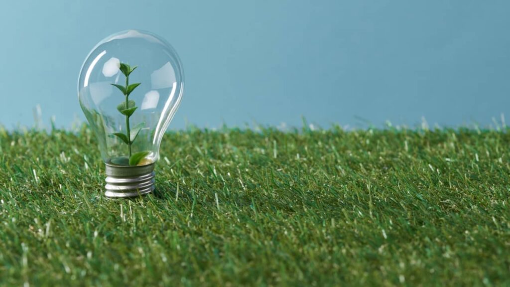 amploule nature concept energie verte