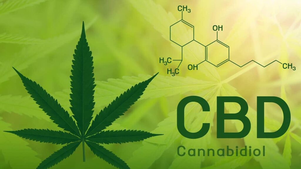 cannabidiol