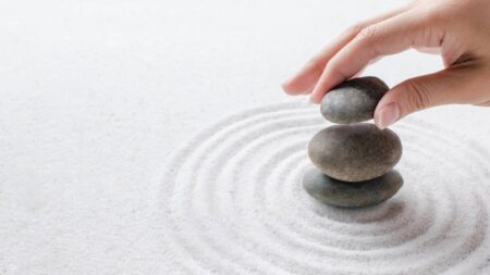 Ikigai : ce concept japonais peut transformer votre rapport à la vie ikigai pose pierre