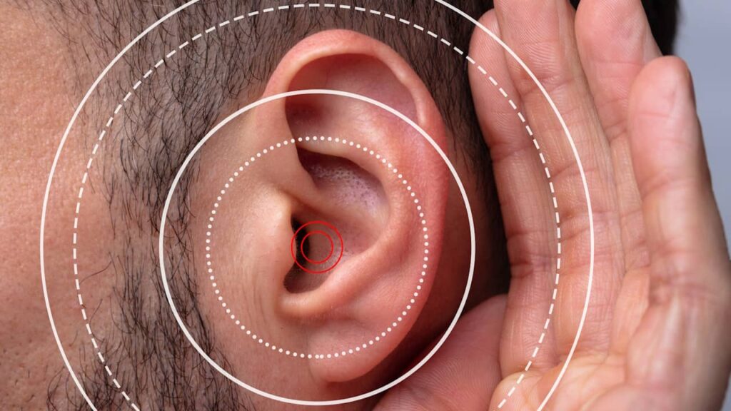 oreille audition