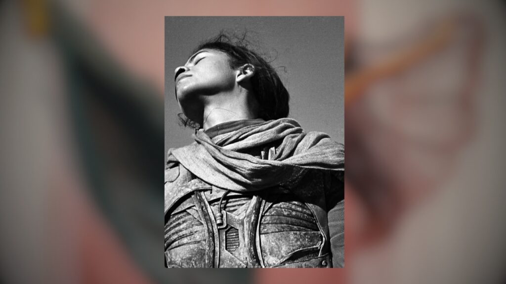 zendaya @Jack Davison dune