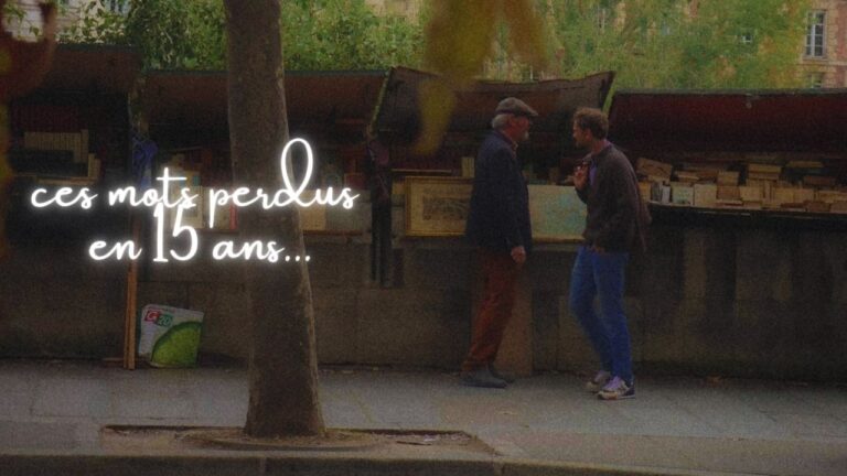 338-mots-perdus-images (1)