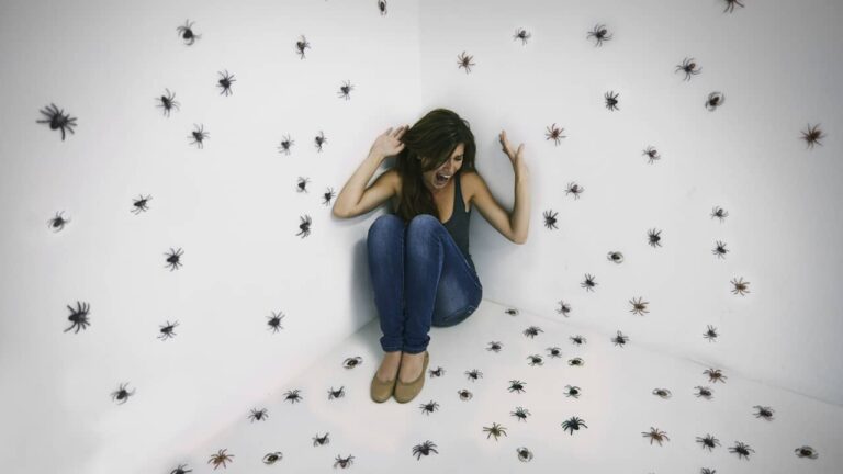 Entomophobie : pourquoi certaines personnes ont une peur incontrôlable des insectes ? femme peur araignée