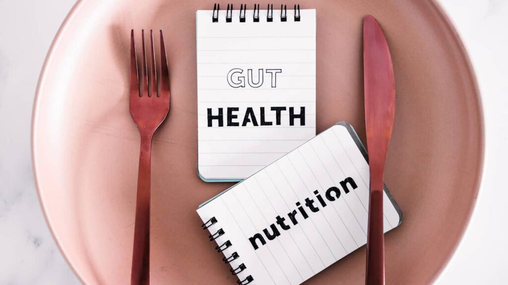 gut health nutrition
