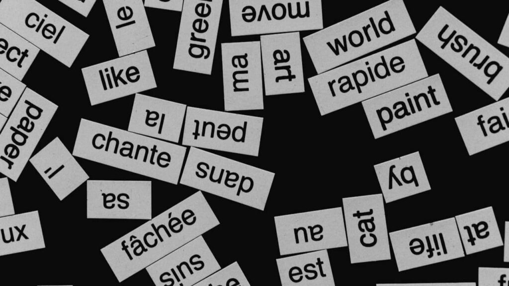 mots-perdus-dans-la-langue-française (1)