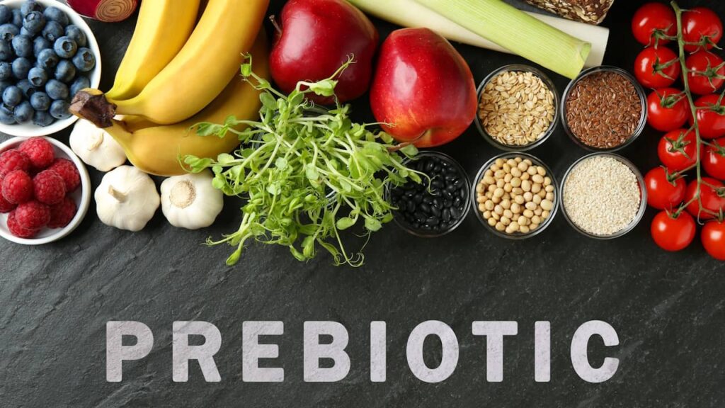 prebiotic alimentation