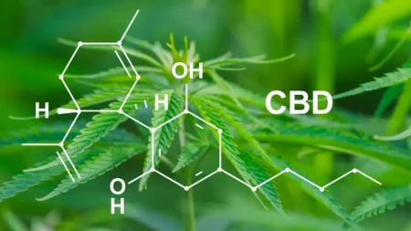 CBD : comment éviter les cannabinoïdes de synthèse en 2026 ? CBD : comment éviter les cannabinoïdes de synthèse en 2026 ?