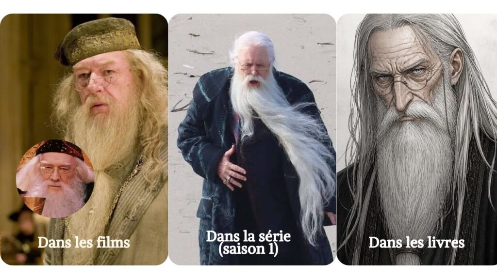 dumbledore harry potter serie films livres