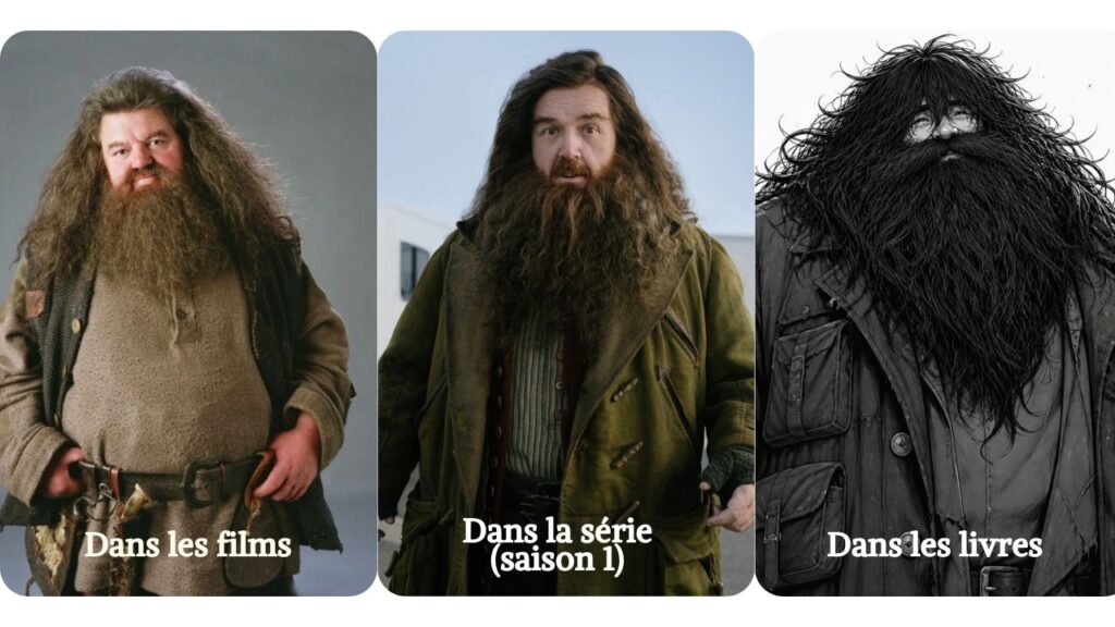hagrid livres films serie