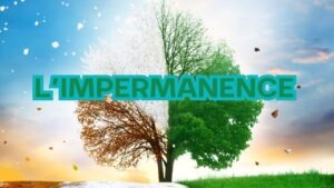 livres impermanence