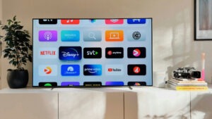 Quels critères vérifier avant d'acheter une TV OLED LG ?